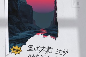 篮球训练苦与乐800字作文？